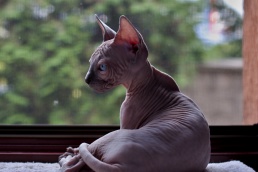 IMGP5226