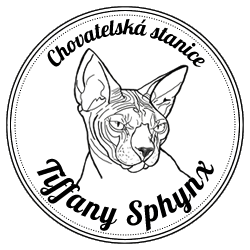 Tiffany Sphynx